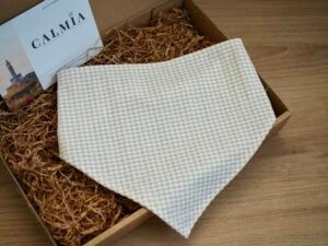 IMG_3639 Pañoleta vichy beige